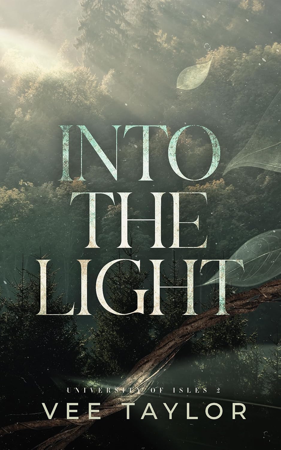 Into the Light (University of Isles Book 2)
