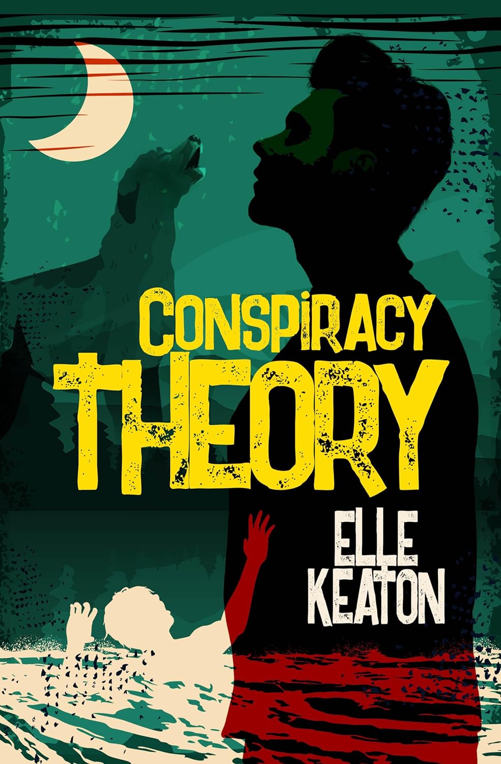 Conspiracy Theory (Veiled Intentions Book 1)