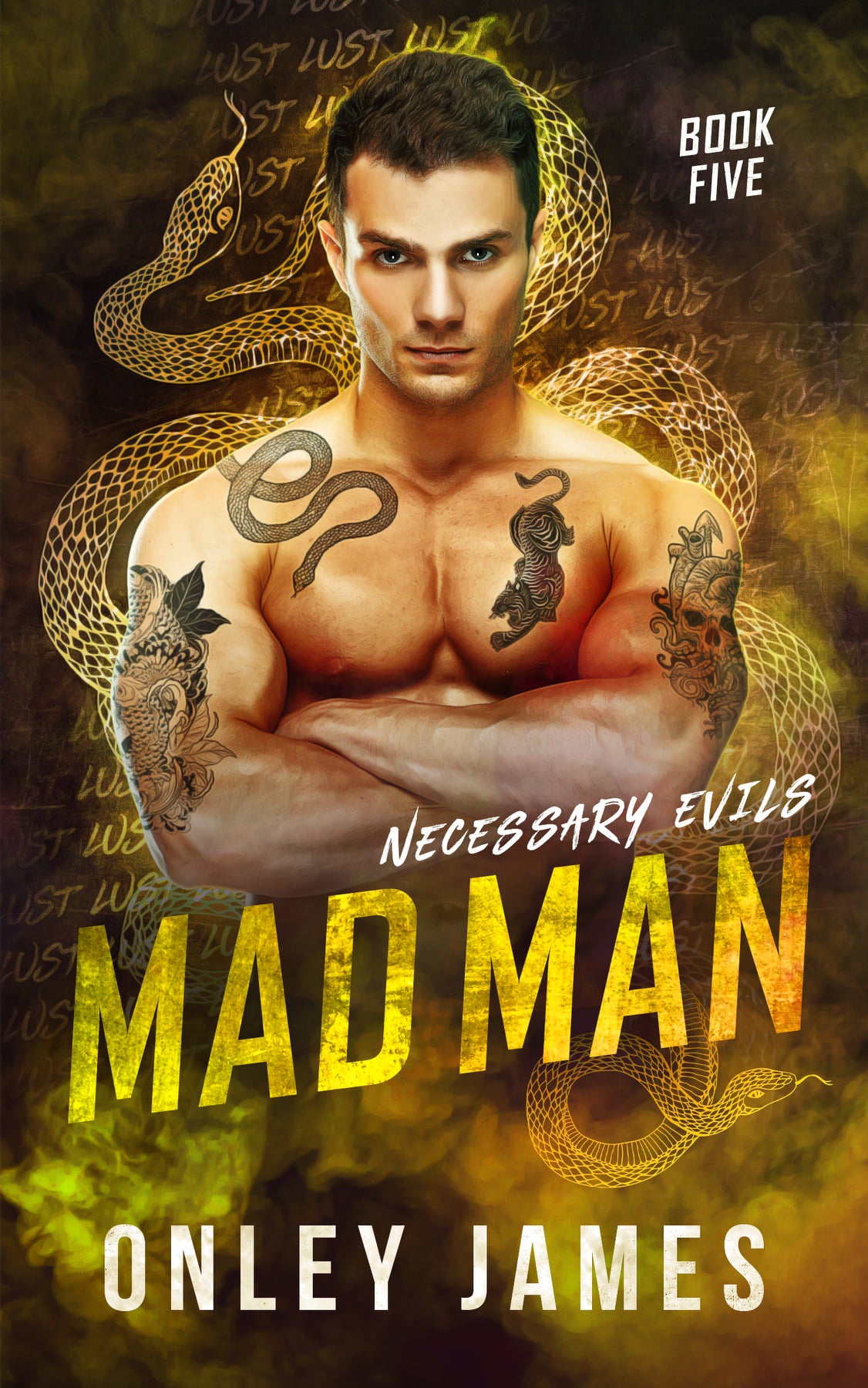 Mad Man (Necessary Evils Book 6)