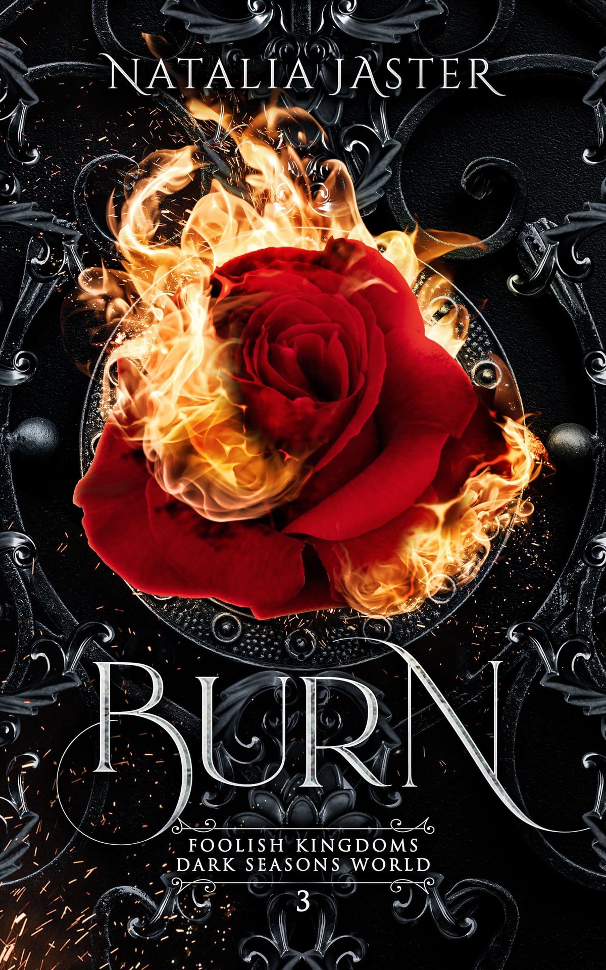 Burn (Foolish Kingdoms Book 3)