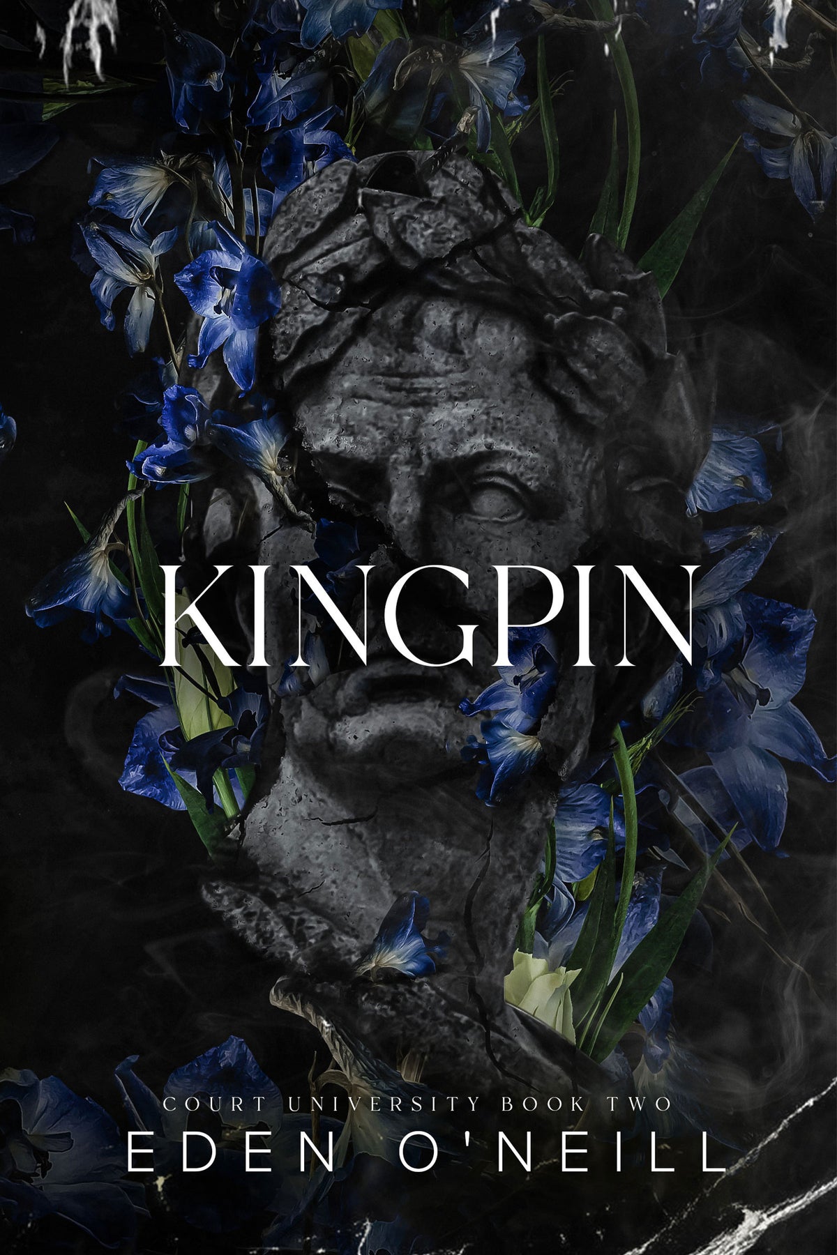 Kingpin (Court University Book 2)