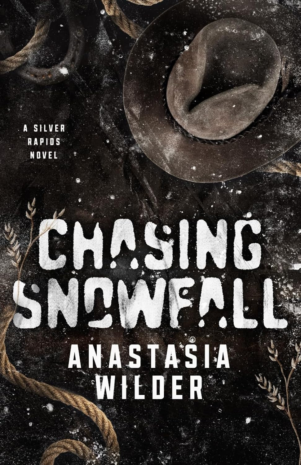 Chasing Snowfall