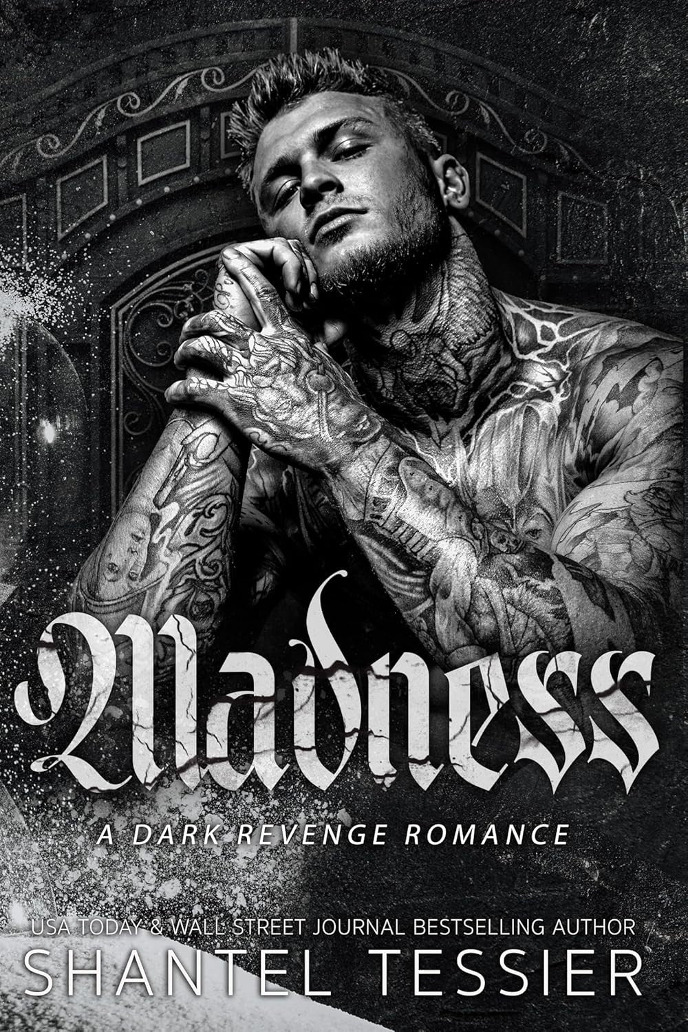 Madness - by Shantel Tessier (Paperback)