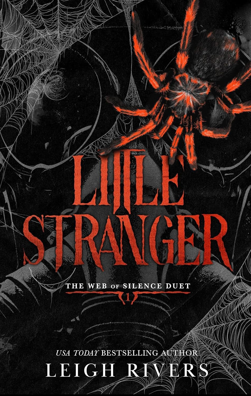 little stranger a dark taboo romance