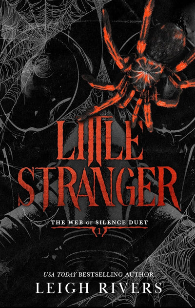 little stranger a dark taboo romance