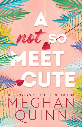 A Not So Meet Cute - (Cane Brothers #1) by Meghan Quinn