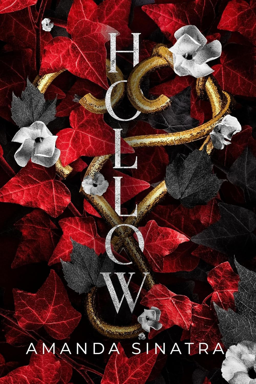 Hollow (Hollow Book 1)