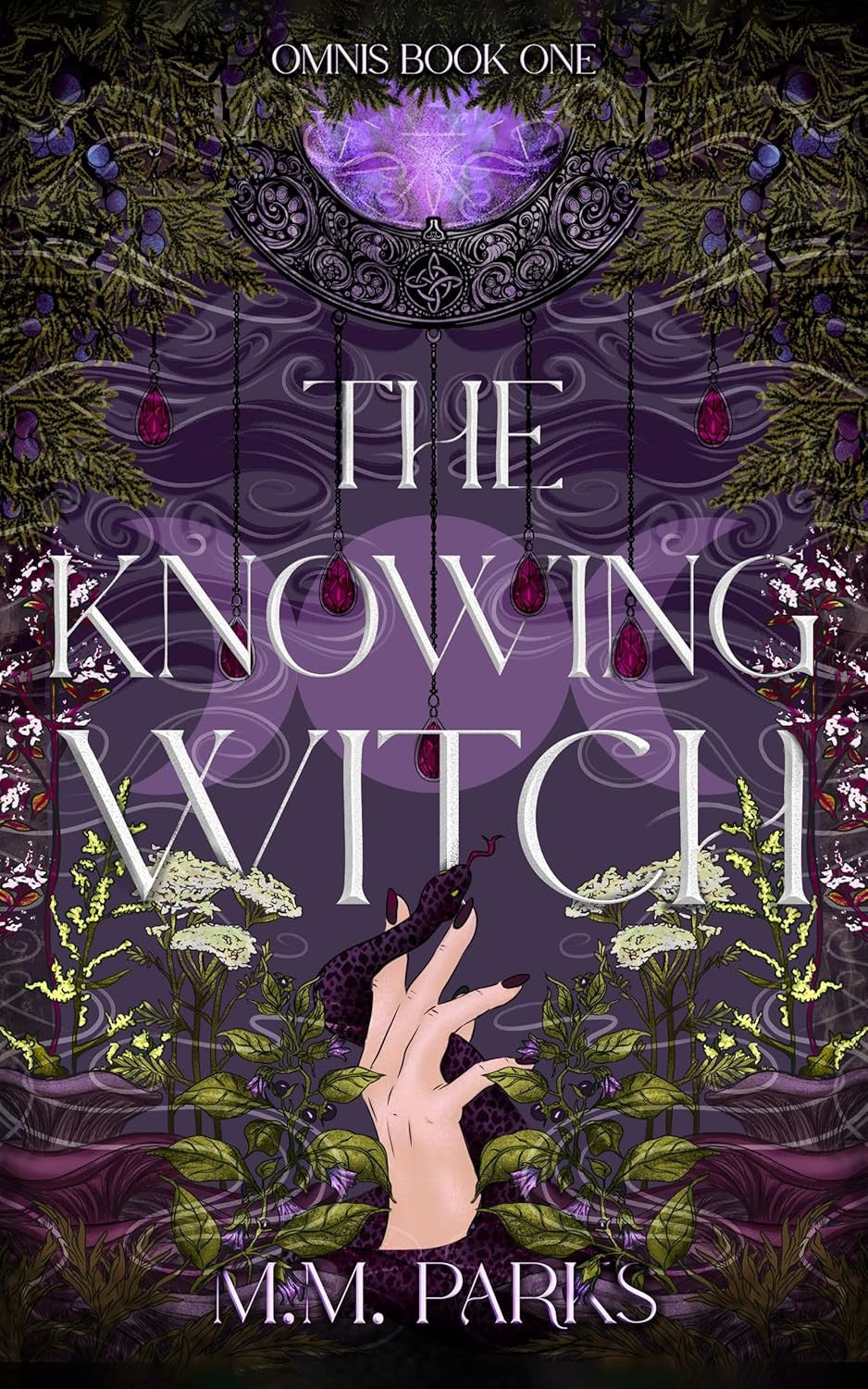 The Knowing Witch (Omnis Book 1)