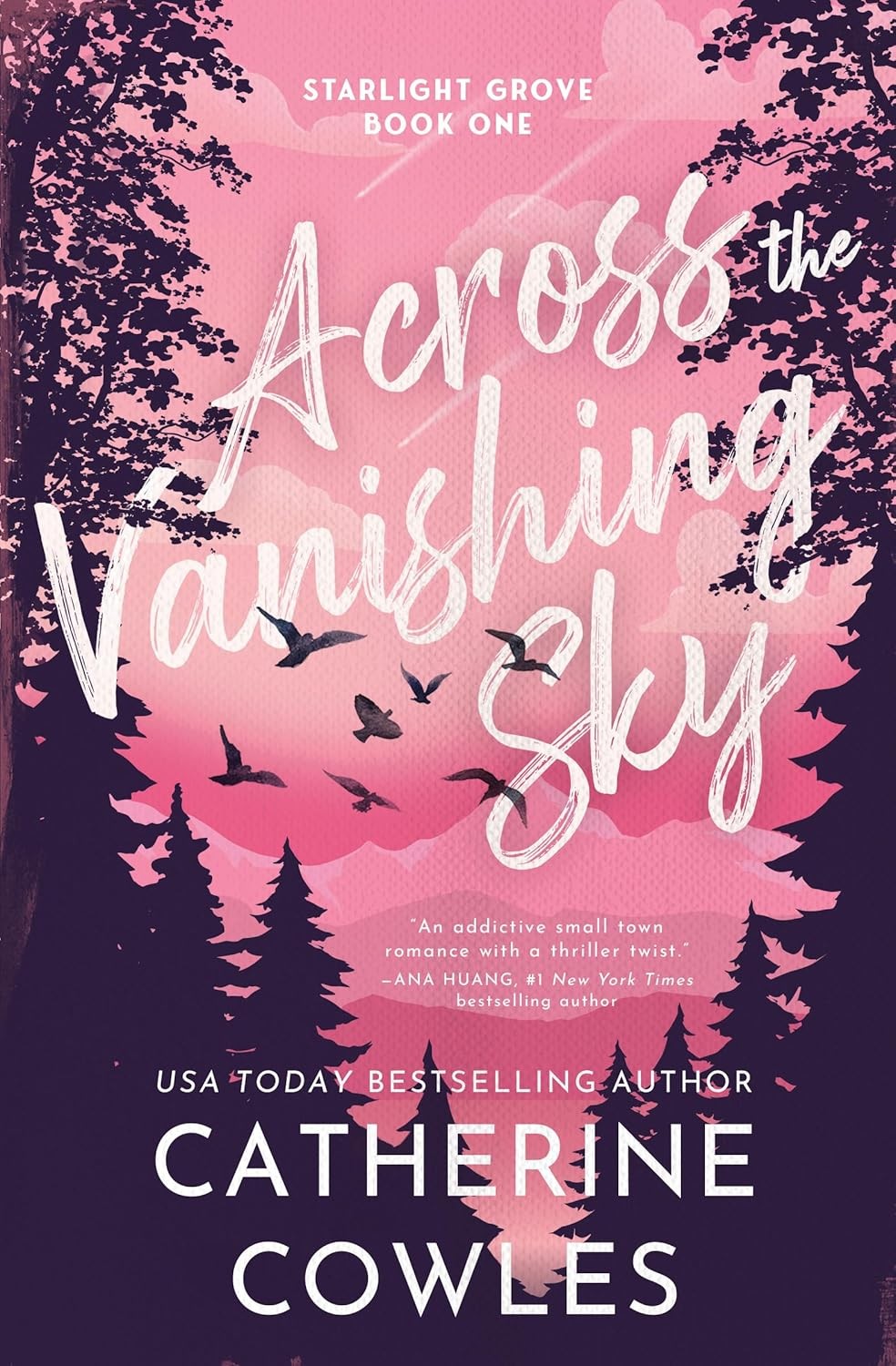 Across the Vanishing Sky (Standard Edition) - (Starlight Grove) by Catherine Cowles (Paperback)